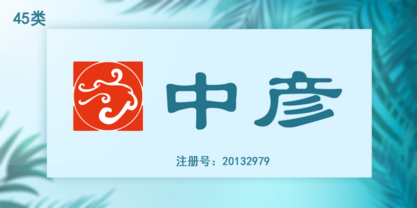 45類社會服務(wù)